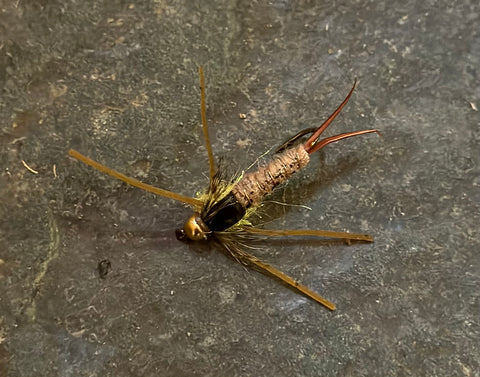 BH Stonefly Nymph - Size 8