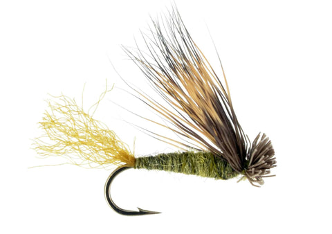 Olive X Caddis